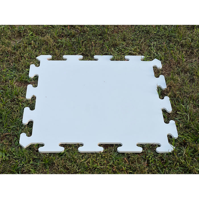 Synthetic Ice Rink Panels