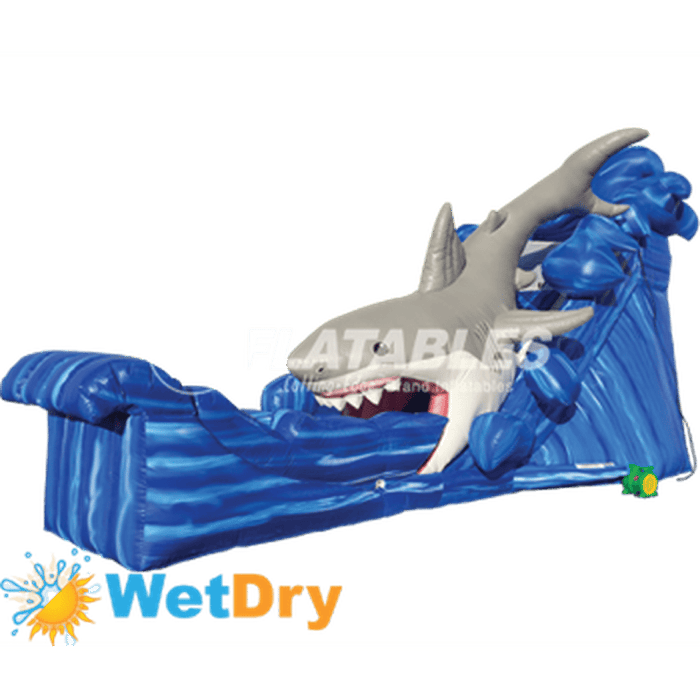 20' Gone Fish'n Wet/Dry Slide