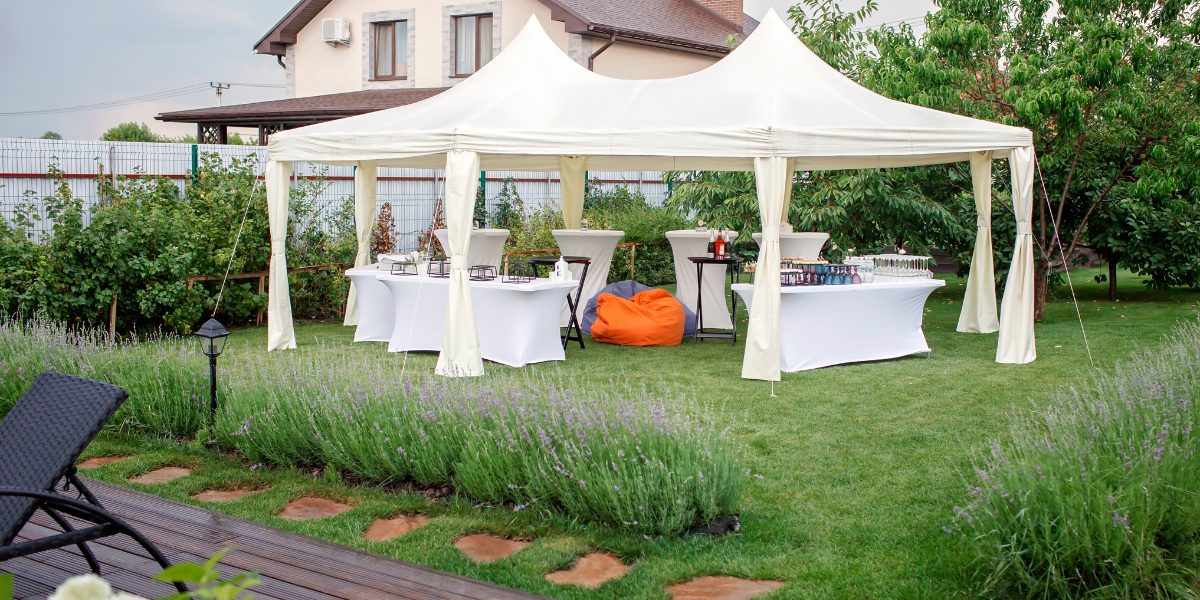 Meeting Your Clients' Needs: The 10 Most Popular Party Rental Items