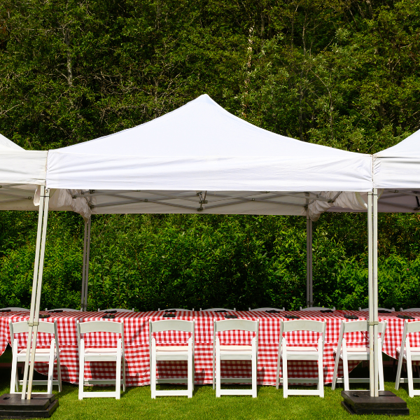 Top 5 Low Cost High ROI Party Rental Items