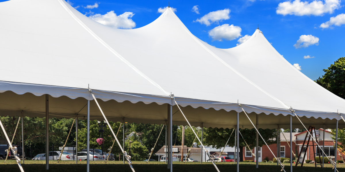 Large white pole tent with guy ropes and stakes set up on a sunny lawn near a lot