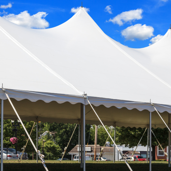 Large white pole tent with guy ropes and stakes set up on a sunny lawn near a lot