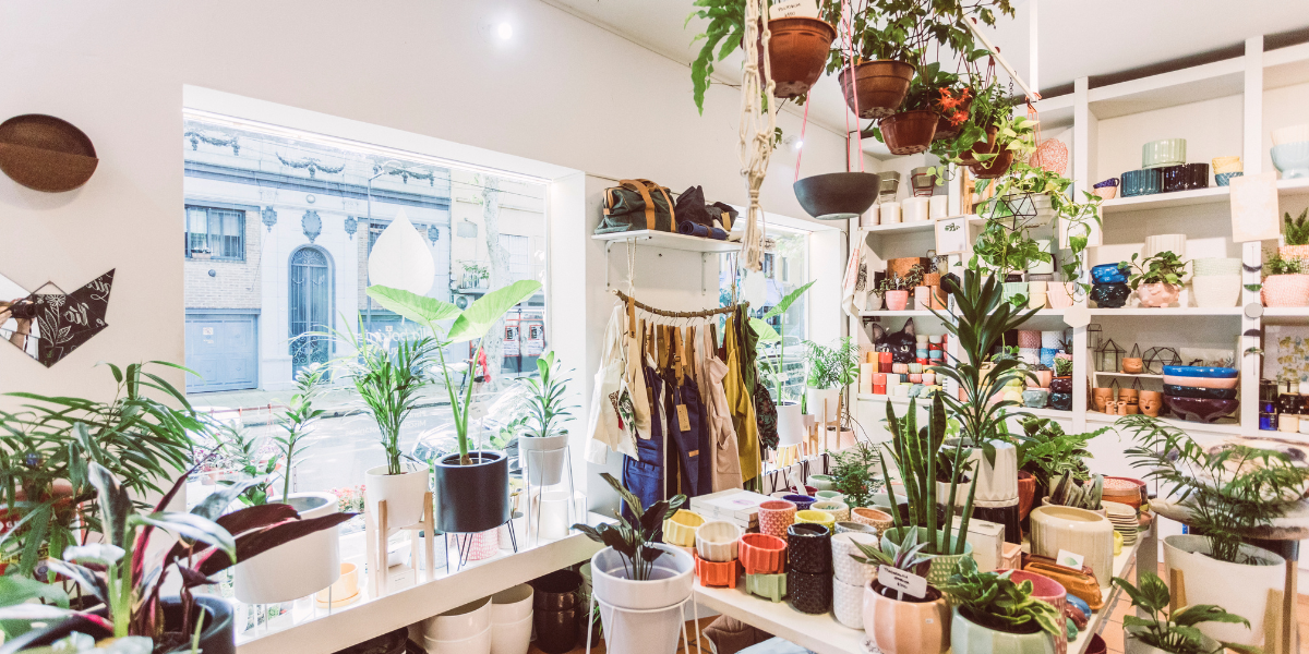 Boutique shop interior filled with hanging plants, ceramic pots, and a clothing rack