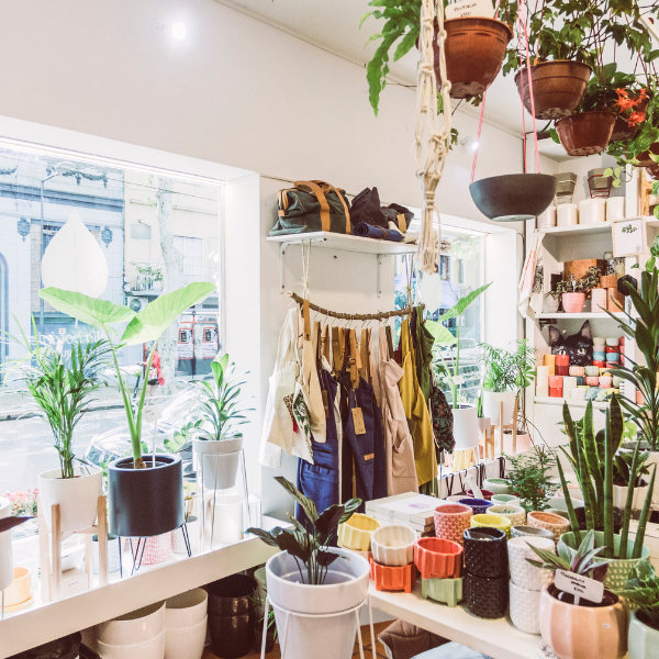 Boutique shop interior filled with hanging plants, ceramic pots, and a clothing rack