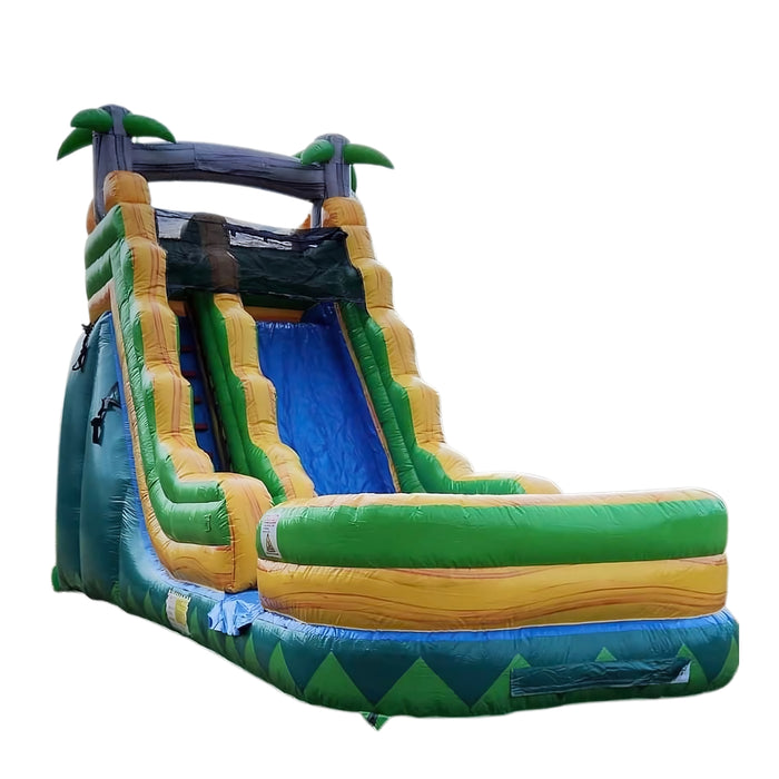 19' Palm Tree Wet & Dry Slide