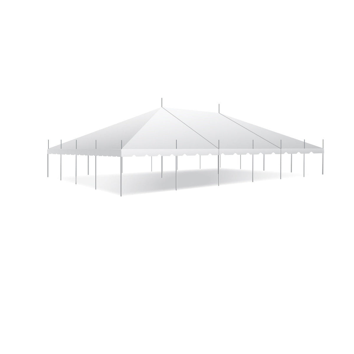 All-Inclusive Light Rental Package for a 40' x 60' Tent - GLOBE LIGHTS