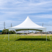 A white 20x20 High Peak Frame Party Tent set up on a green grass field with yellow wildflowers, featuring a sharp center peak and open sides.