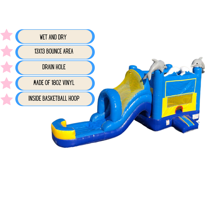 Deep Sea Dolphin Wet and Dry  Combo