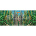 Jungle Island Removable Art Panel